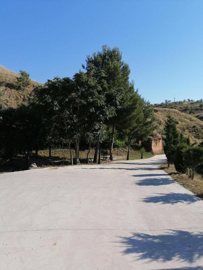 Apartamentos Rurales Camino Del Cid Castejón de las Armas Esterno foto