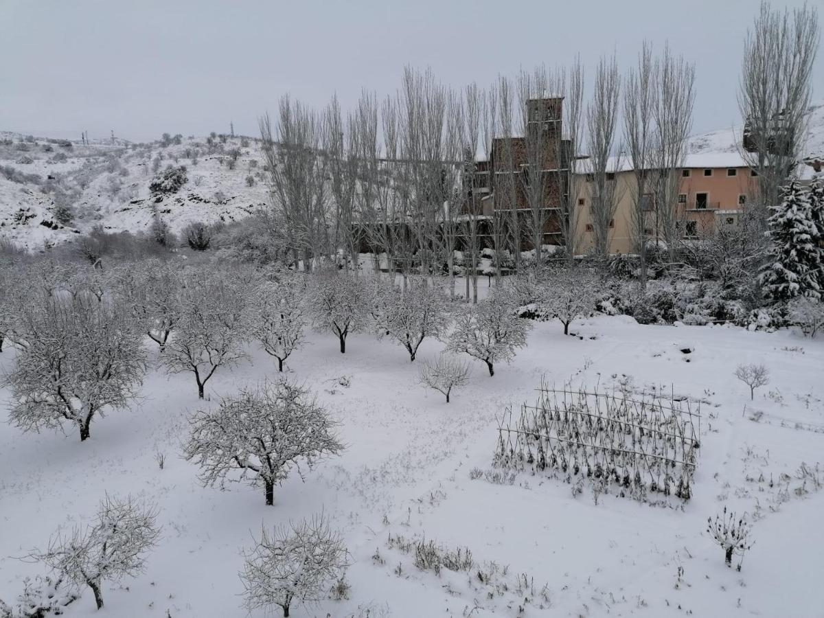 Apartamentos Rurales Camino Del Cid Castejón de las Armas Esterno foto
