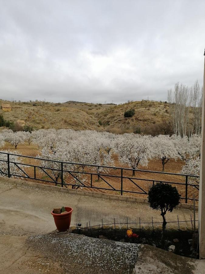 Apartamentos Rurales Camino Del Cid Castejón de las Armas Esterno foto