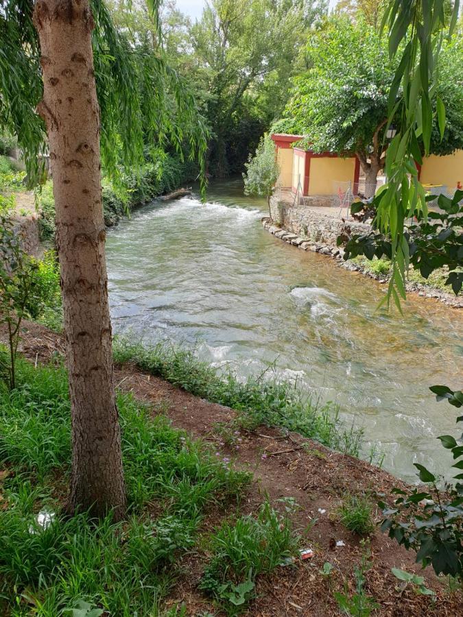 Apartamentos Rurales Camino Del Cid Castejón de las Armas Esterno foto