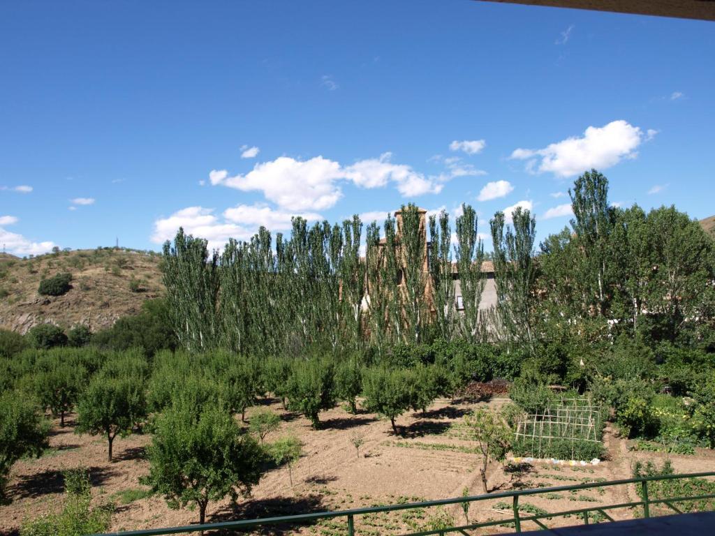 Apartamentos Rurales Camino Del Cid Castejón de las Armas Esterno foto