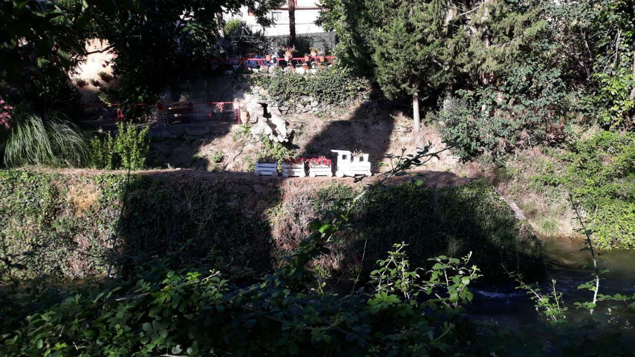 Apartamentos Rurales Camino Del Cid Castejón de las Armas Esterno foto
