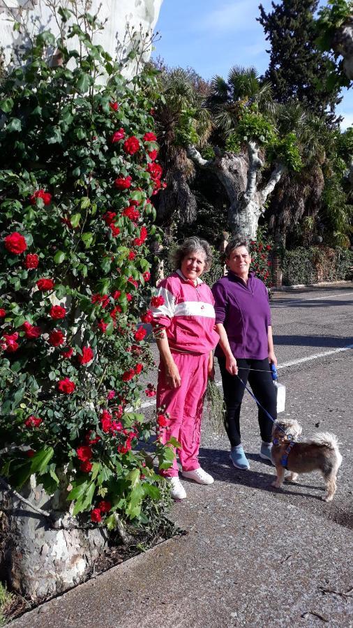 Apartamentos Rurales Camino Del Cid Castejón de las Armas Esterno foto