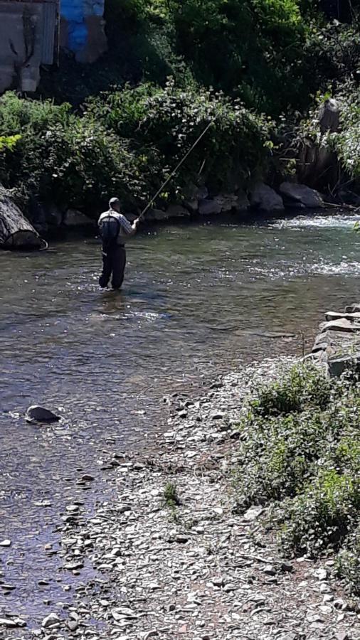 Apartamentos Rurales Camino Del Cid Castejón de las Armas Esterno foto